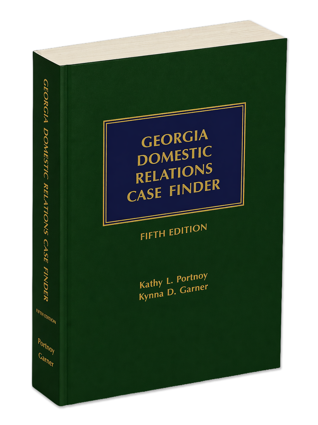 Georgia Domestic relations case finder book